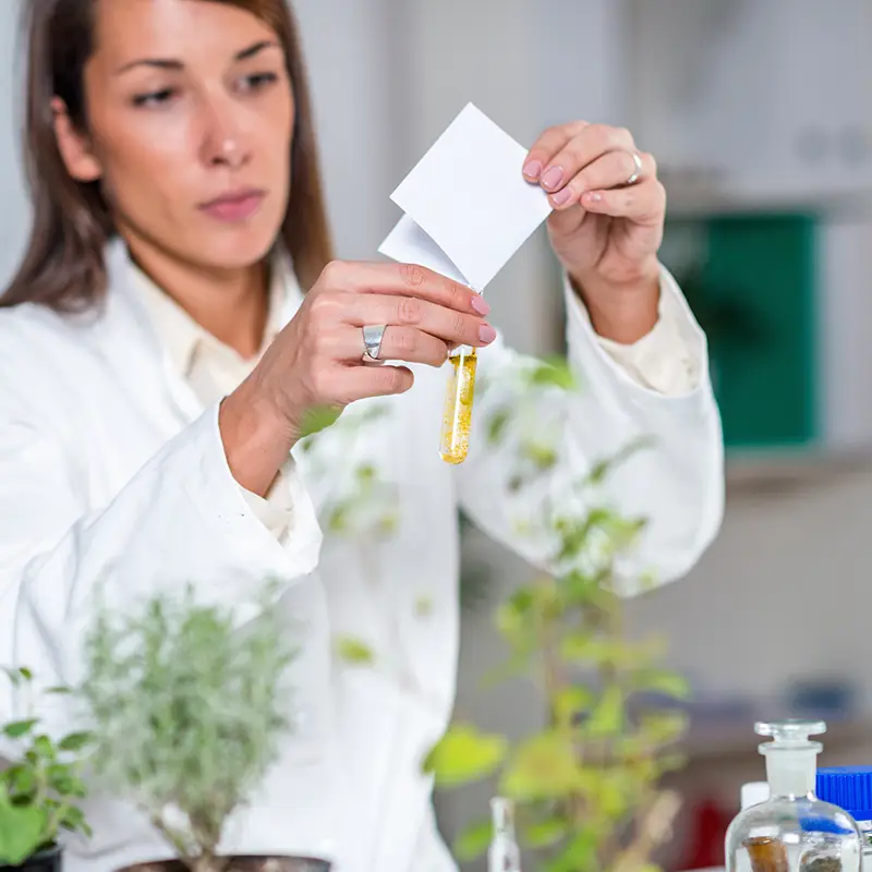 Préparation pharmaceutique